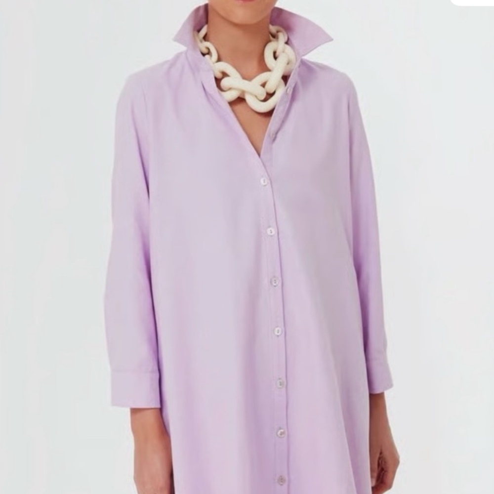 Pomander Place Oxford Harris Shirt Dress - Picture 2 of 4